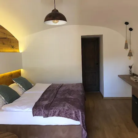 ホテル Dvur Pecinov 4*