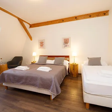 فندق Dvur Pecinov 4*