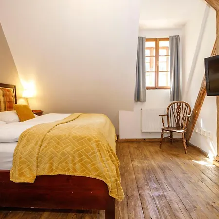 ホテル Dvur Pecinov 4*