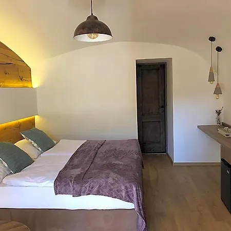 Dvur Pecinov Hotel 4*