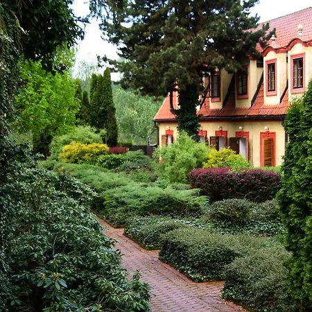 فندق Dvur Pecinov 4*