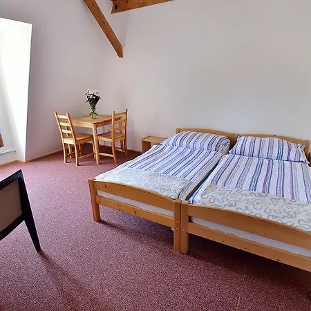 Dvur Pecinov Hotel 4*