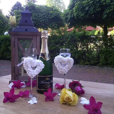 Szálloda Dvur Pecinov 4*