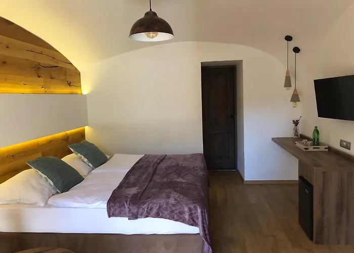 Hotel Dvůr Pecínov 4*