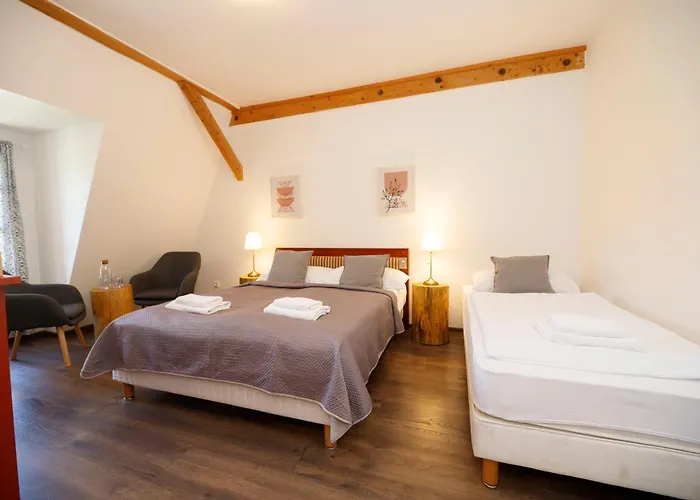 ホテル Dvur Pecinov 4*